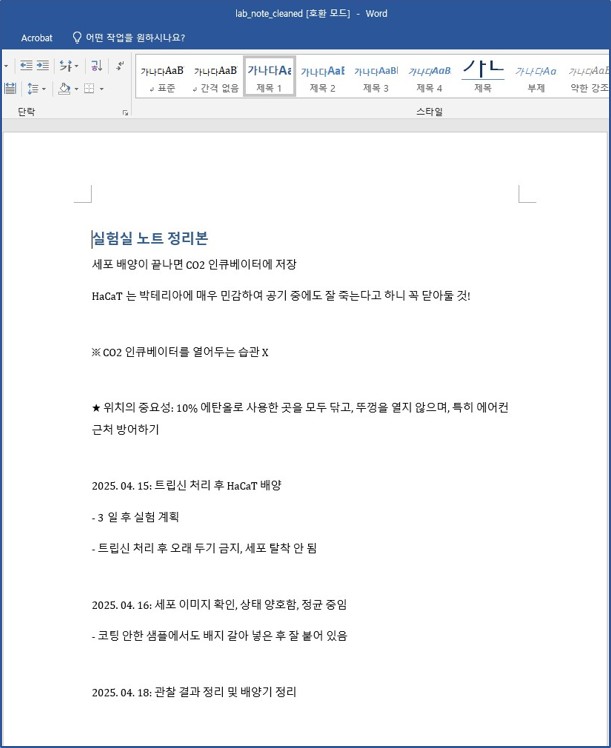 챗지피티가 준 docx