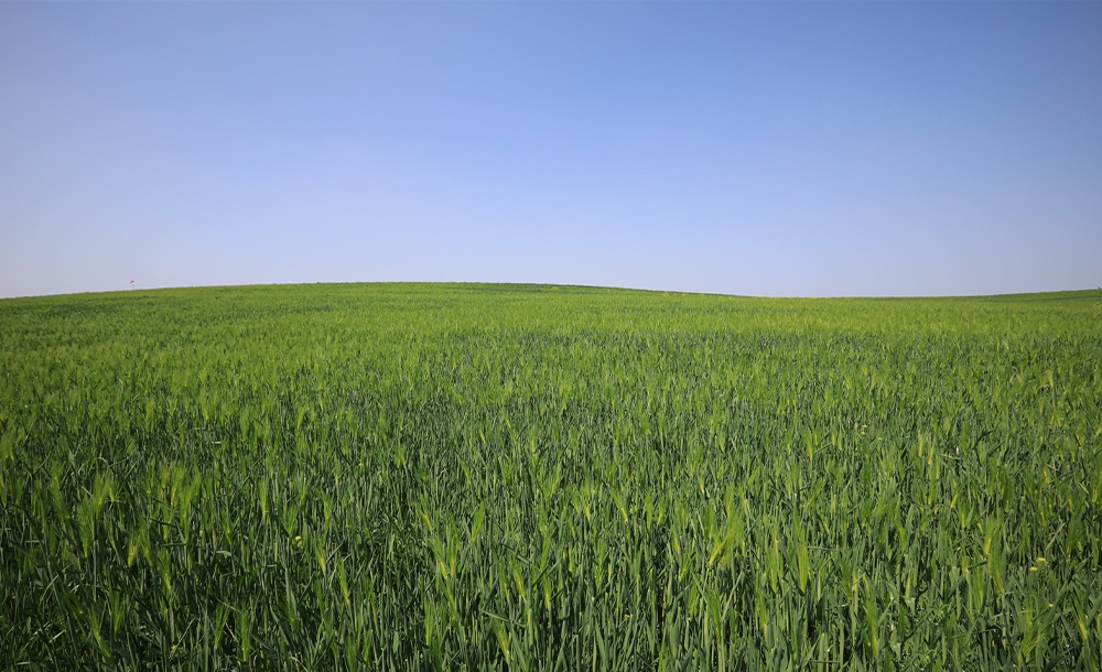 6월 국내여행지 베스트 10 – 내 마음속 ‘인생 여행지’