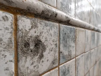 장마철 곰팡이 제거방법 꿀팁 정리 완벽 가이드_22