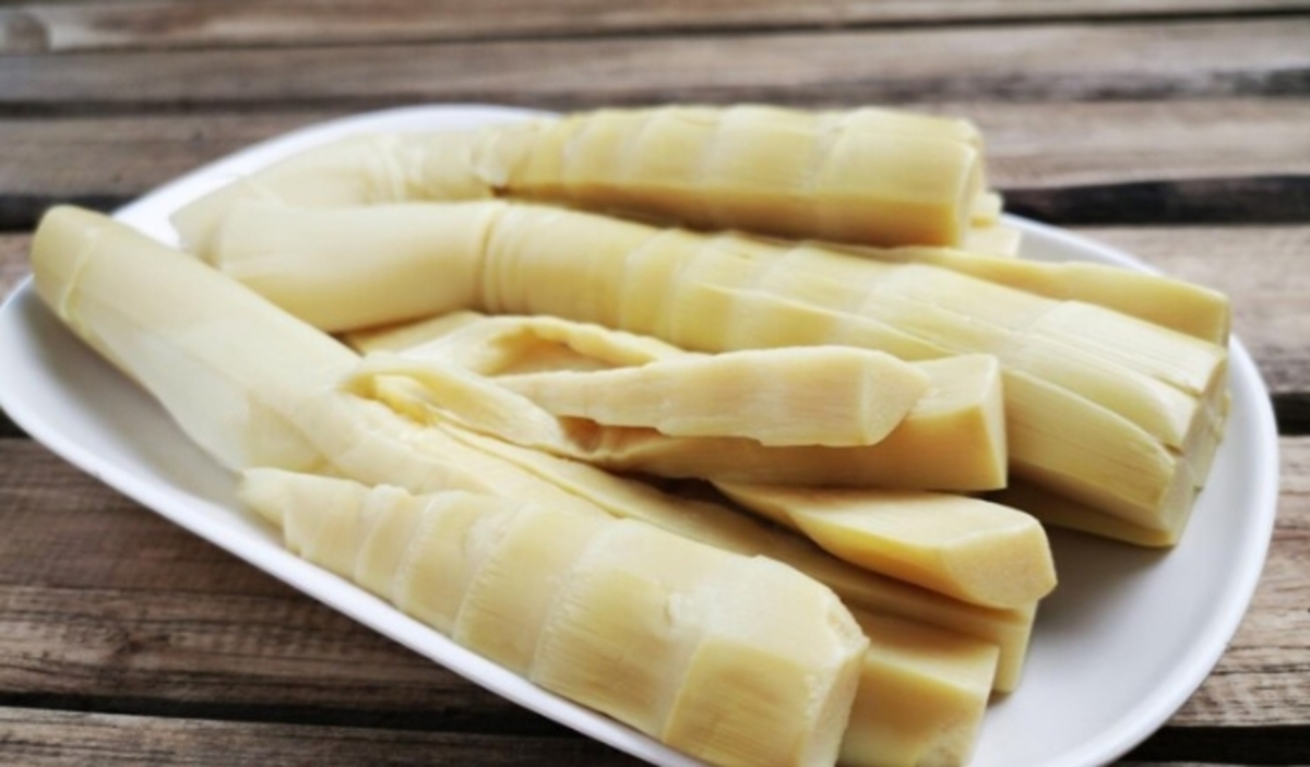 죽순 사진