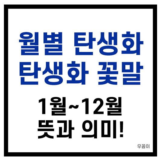 월별 탄생화 탄생화 꽃말