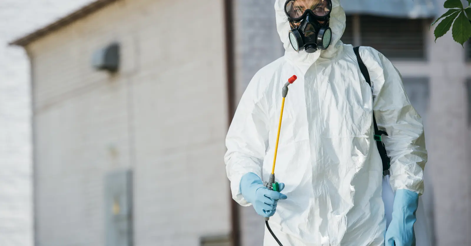 세스코 가정집 가격: 면적별 기본요금 정리