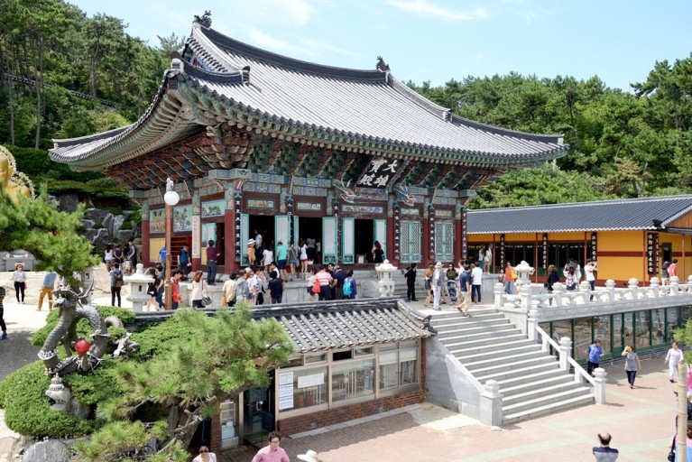 대체텍스트