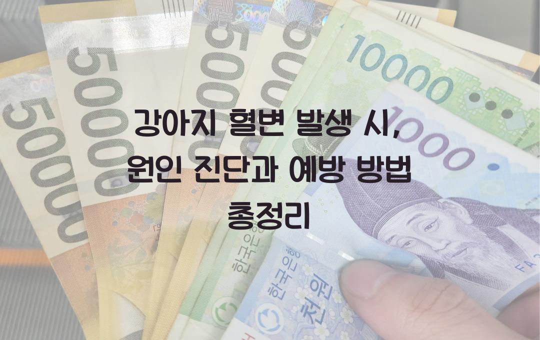 강아지 혈변 발생 시: 원인 진단과 예방