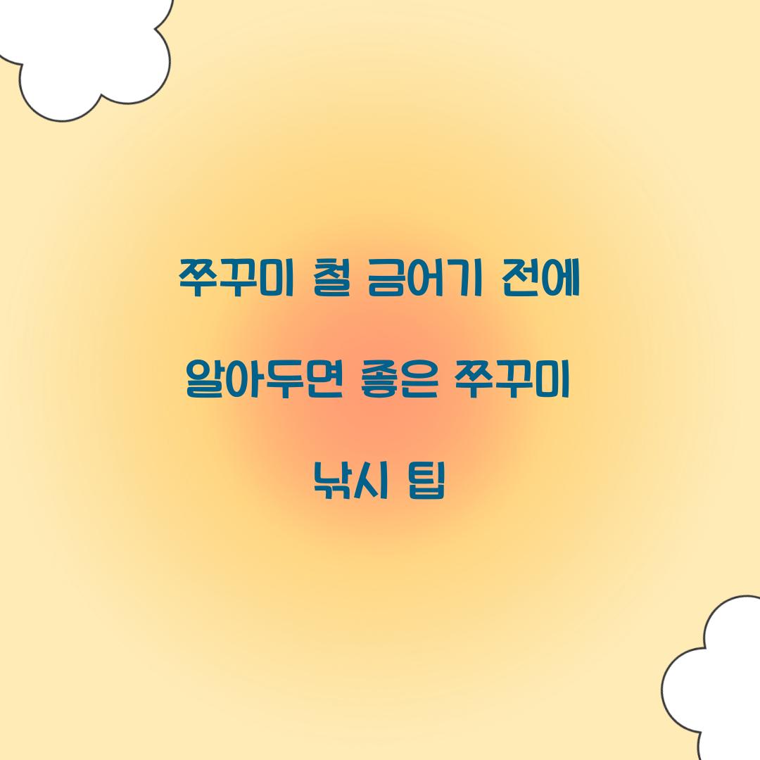쭈꾸미 철 쭈꾸미 금어기