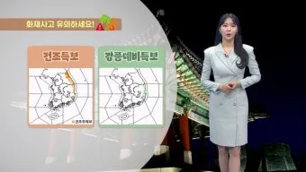 강풍 예비특보 낙과 낙하물 창문 고정 집안 대비법_23