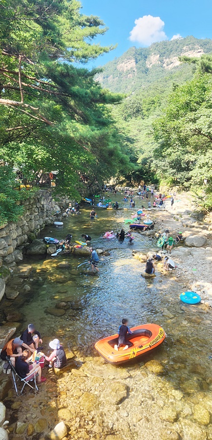 B구역에 있는 다리 위에서 찍은 계곡사진