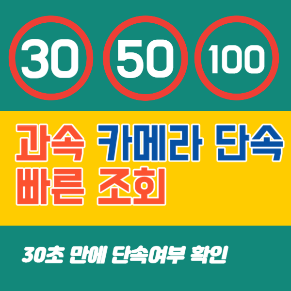 과속 단속 조회