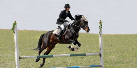 말과 기수가 장애물을 넘고 있다