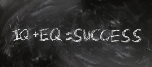 인치 센치 변환