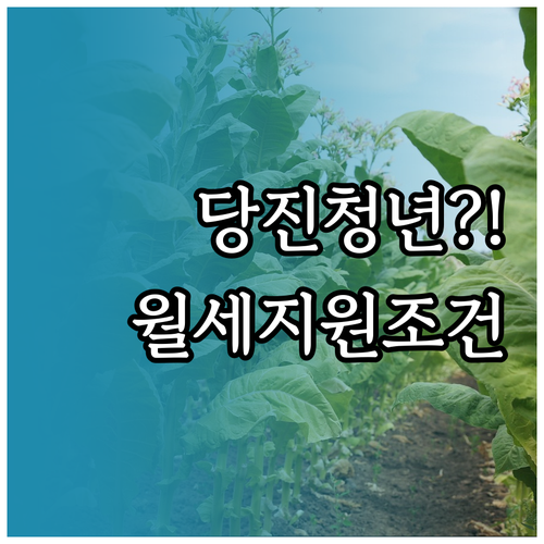 당진시 청년월세 지원 대상 소득 기준..