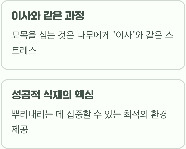 새로운 시작, 나무가 겪는 스트레스