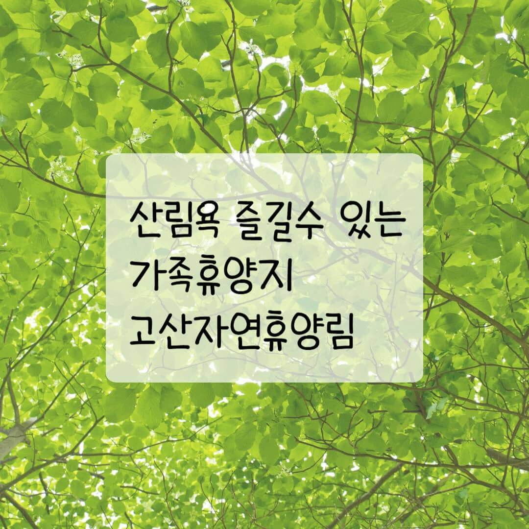 산림욕을 즐길수 있는 가족휴양지 고산자연휴양림