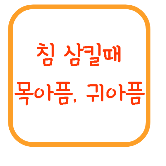 침 삼킬때 목아픔 귀아픔