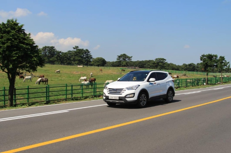 제주도 렌트카에 관한 사진