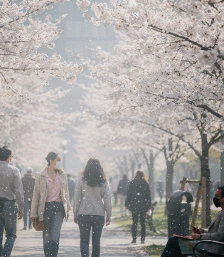비염에 좋은 음식