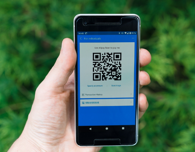 손에 QR코드 화면이 있는 스마트폰을 들고 있는 모습