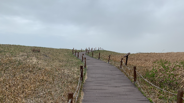 신두리 해안 사구 오르막 걷기