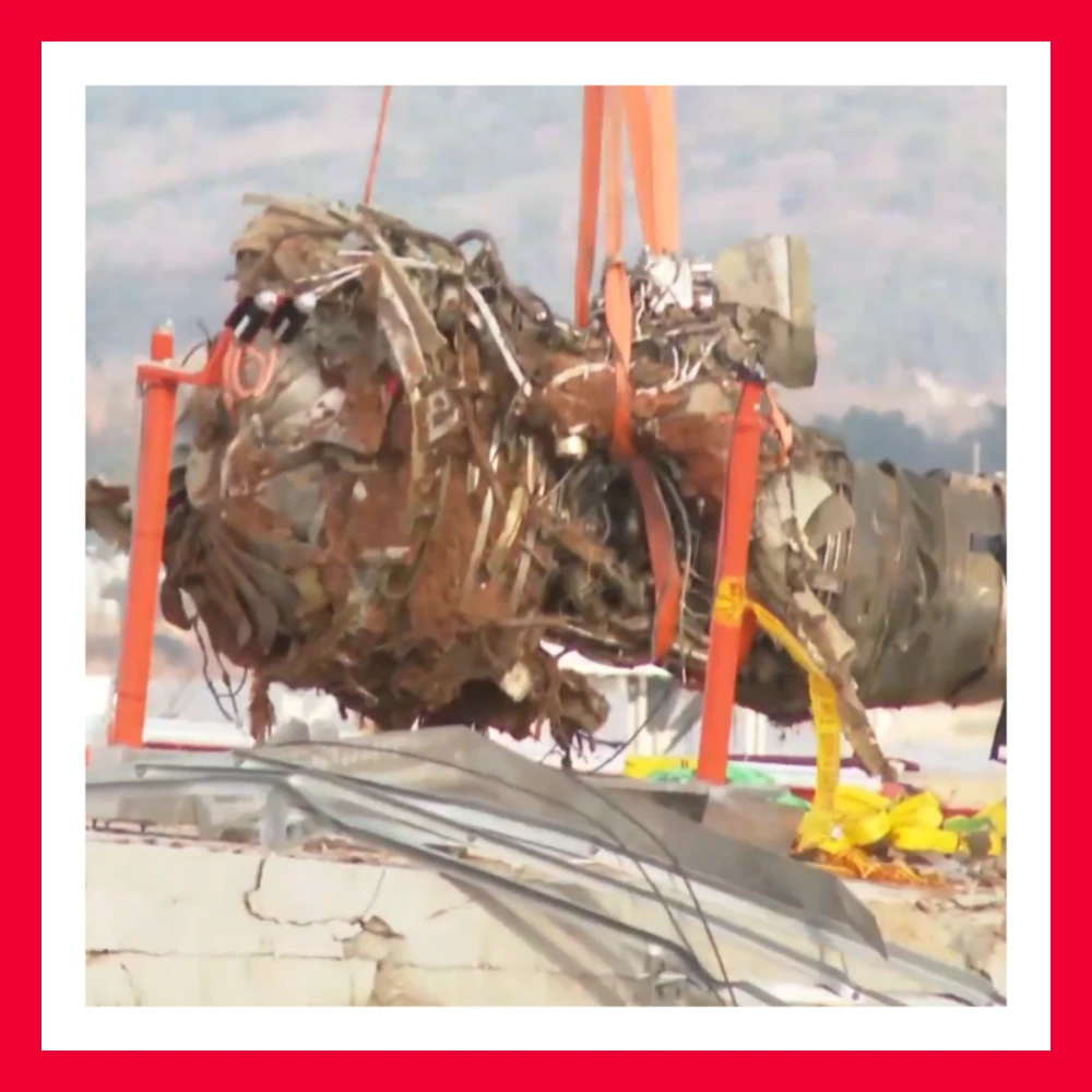 제주항공-엔진-깃털-조류충돌