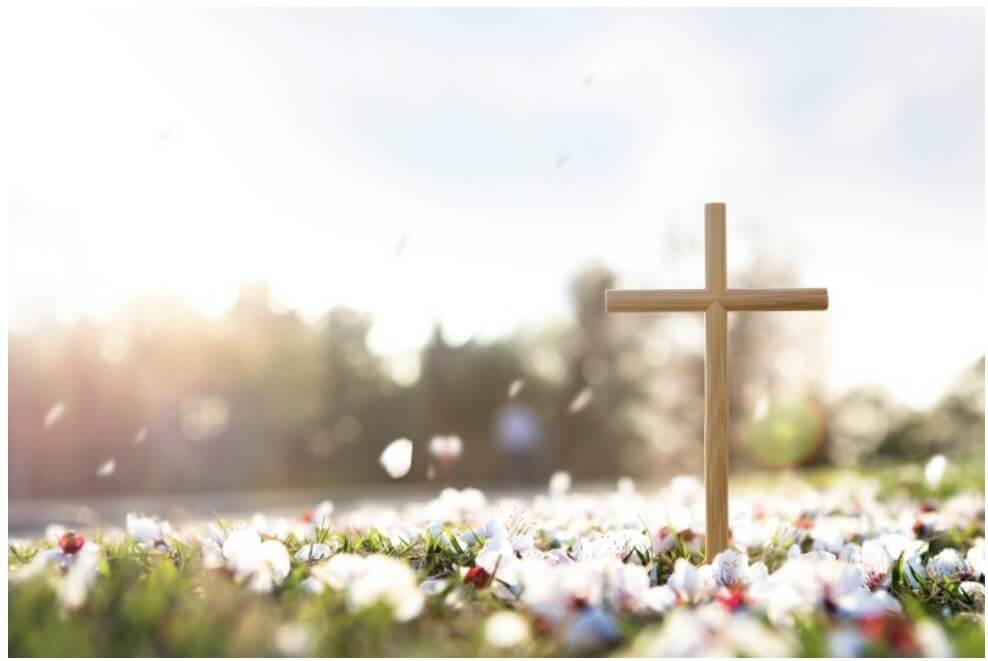 꽃 밭에서 십자가 모양이 보인다