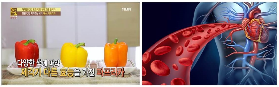 심혈관질환에 좋은 파프리카