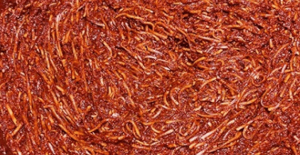 김장김치 양념 만드는 방법