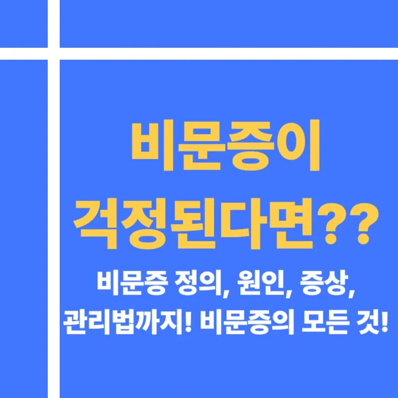 비문증