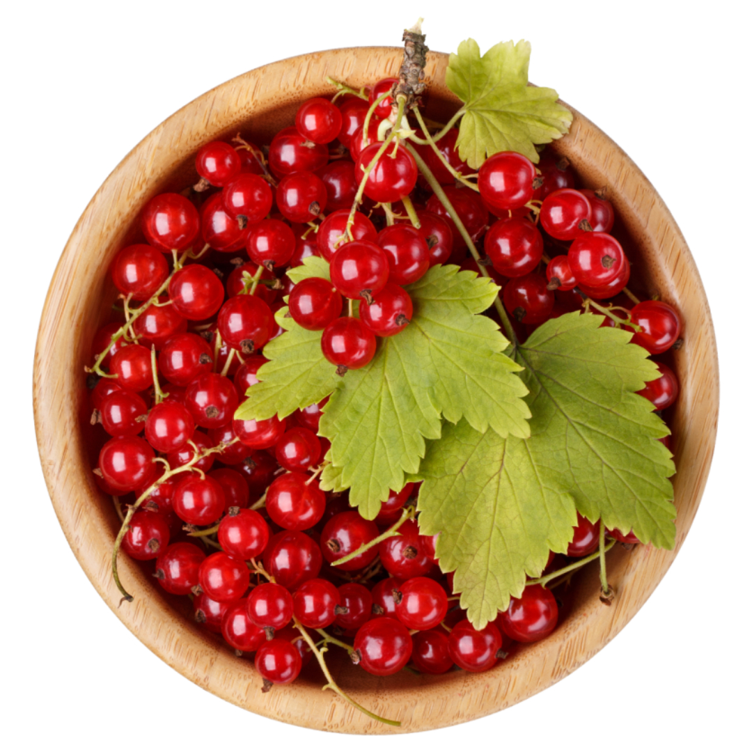 오미자청과 관련된 사진입니다.