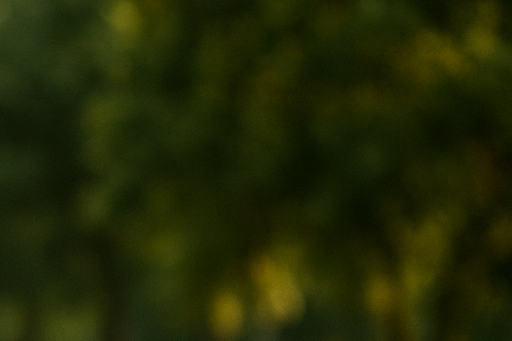 오젬픽 가격 보험 적용 총정리