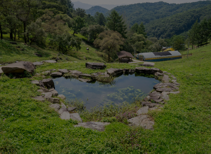 하늘마루 염소 목장 체험 안내 