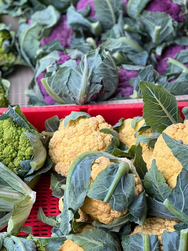 농식품바우처-지원사업