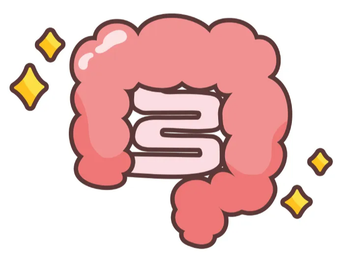 장 염증 반응 조절하는 보스웰리아