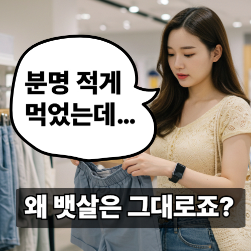 여름철 뱃살, 안 빠지는 이유는 식사 타이밍 때문? 식단&middot;실천팁 총정리