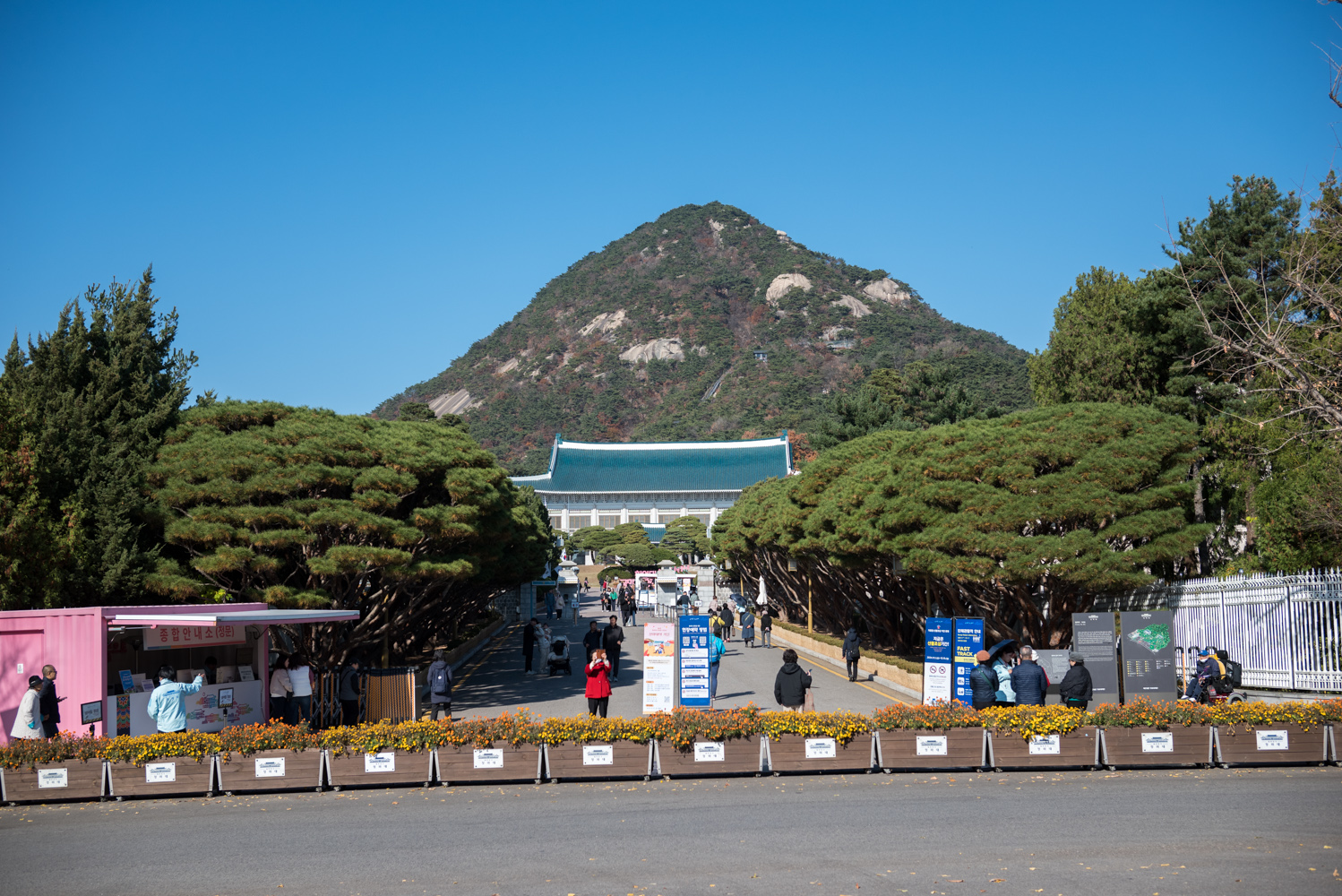 청와대 단풍