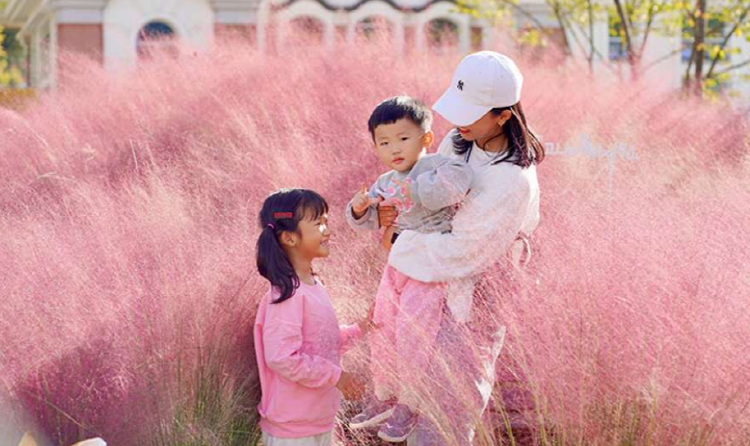 가평 베고니아 새정원