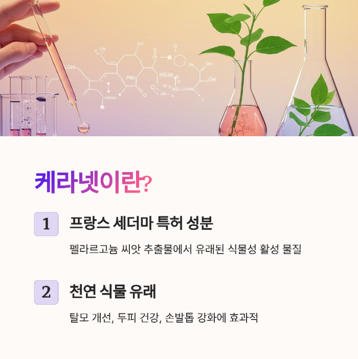 케라넷이란