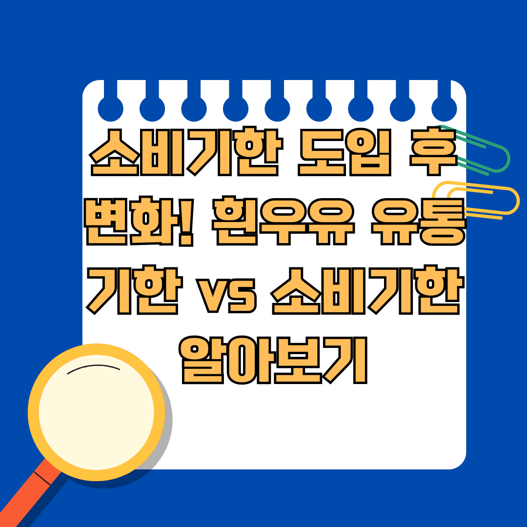 소비기한 도입 후 변화! 흰우유 유통기한 vs 소비기한 알아보기