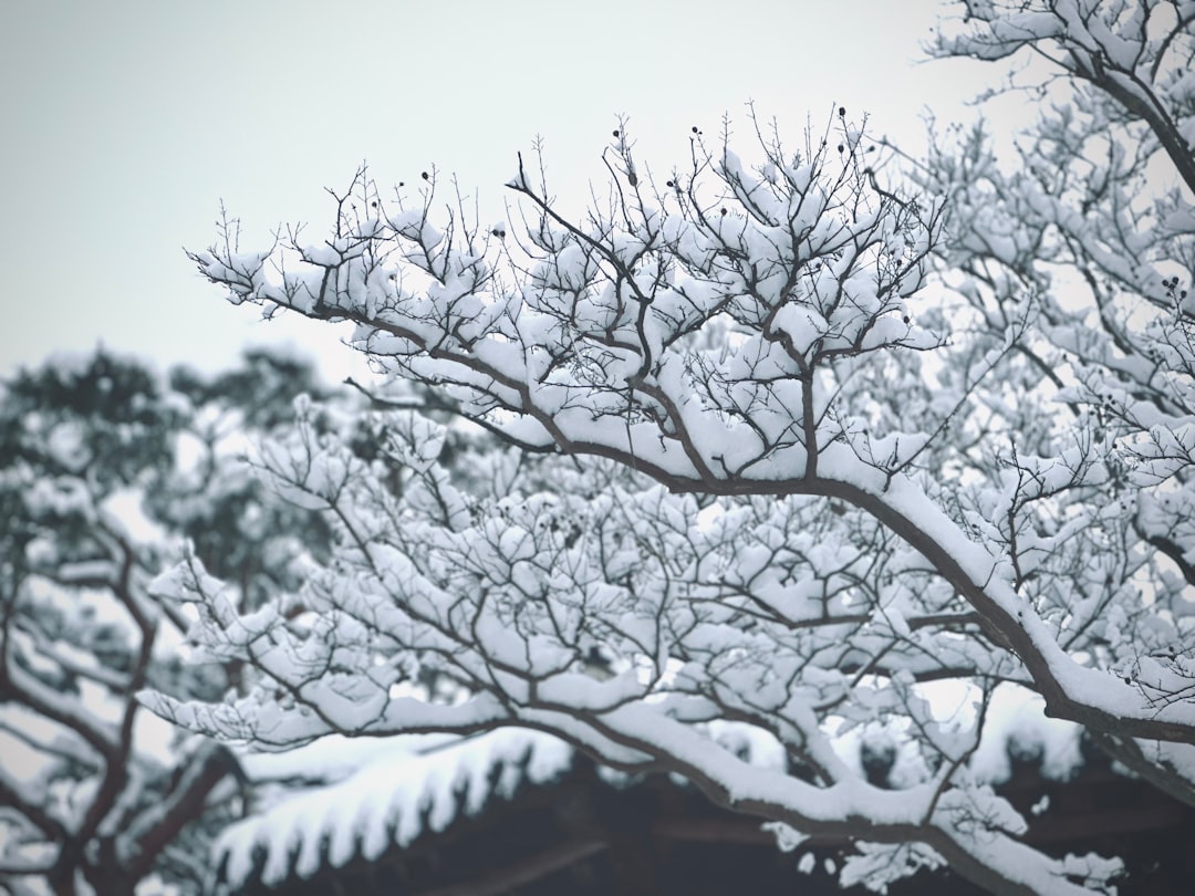 Hanok