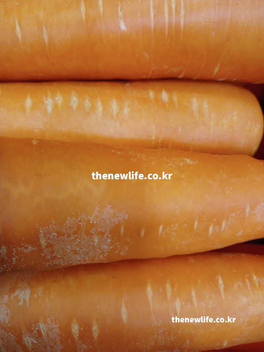 당근 효능 콜레스테롤 감소를 돕는 펙틴