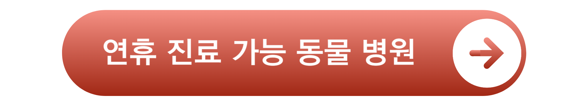 설 연휴 진료 가능한 동물 병원