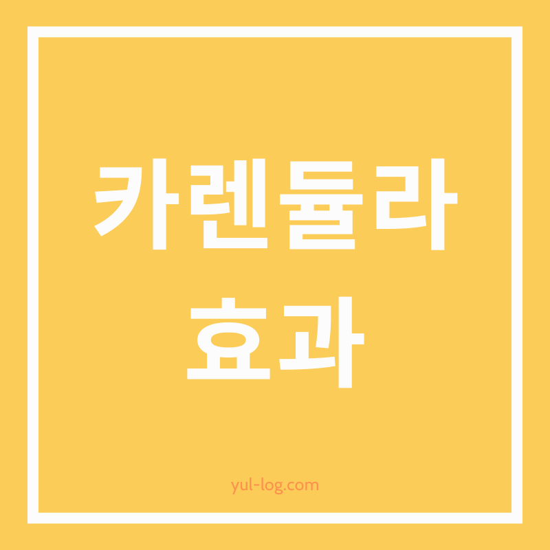 카렌듈라 효과와 다양한 활용법 알아보기