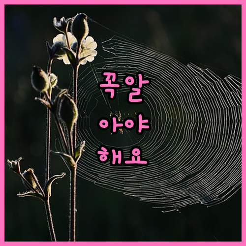 2025 장애인 맞춤형 사업화 지원 ..