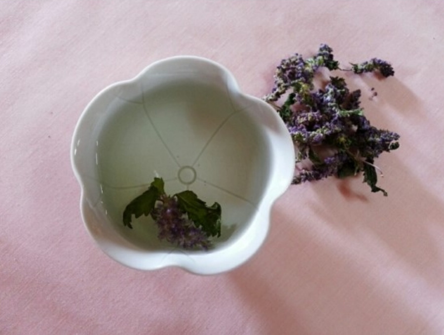 야생에서 채취를 한 향유의 꽃을 잘 세척한 후에 건조시킨 것을 분홍색 바닥 위에 꽃무늬 찻잔에 뜨거운 물을 붓고 넣어서 향유차를 만든 것을 위에서 찍은 사진