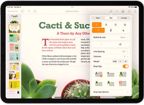 Apple Pages