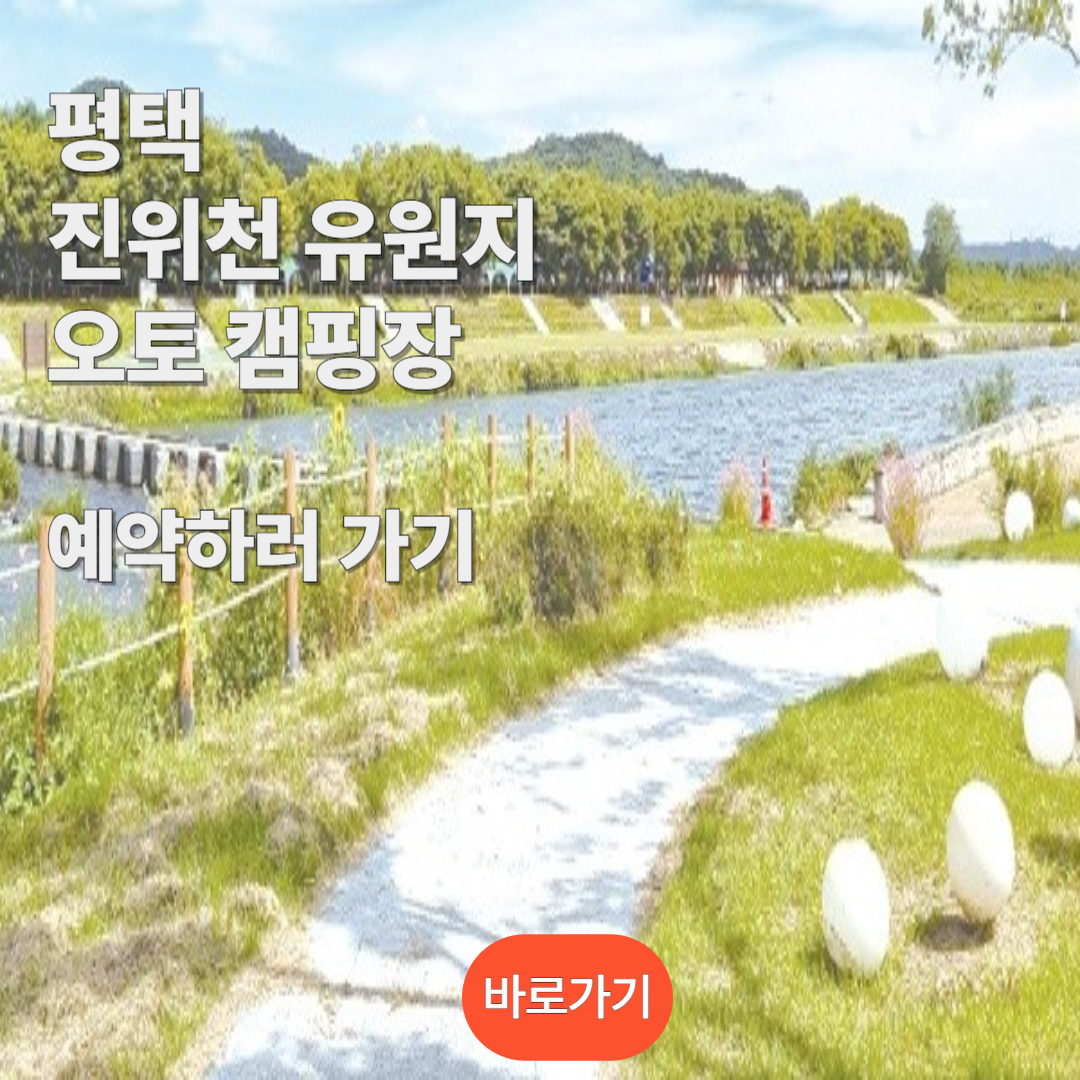 진위천 유원지 오토 캠핑장 예약하기