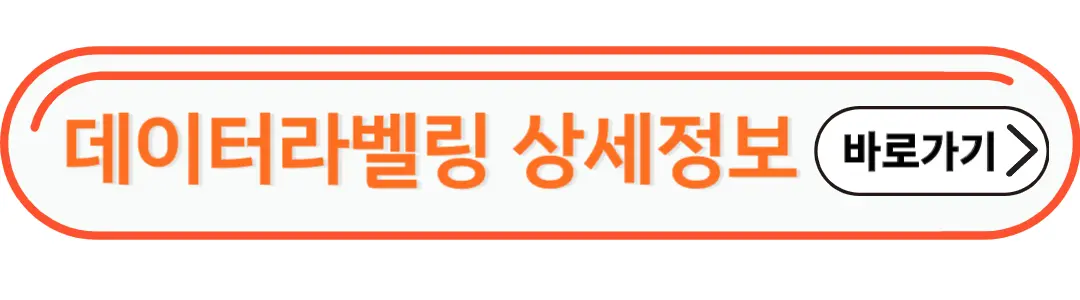 데이터라벨링 상세정보