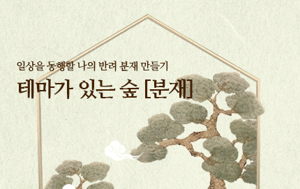 출처 : 화담숲 홈페이지13