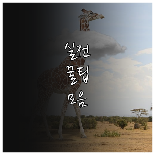 경영난 2025 전남 소상공인 맞춤형..