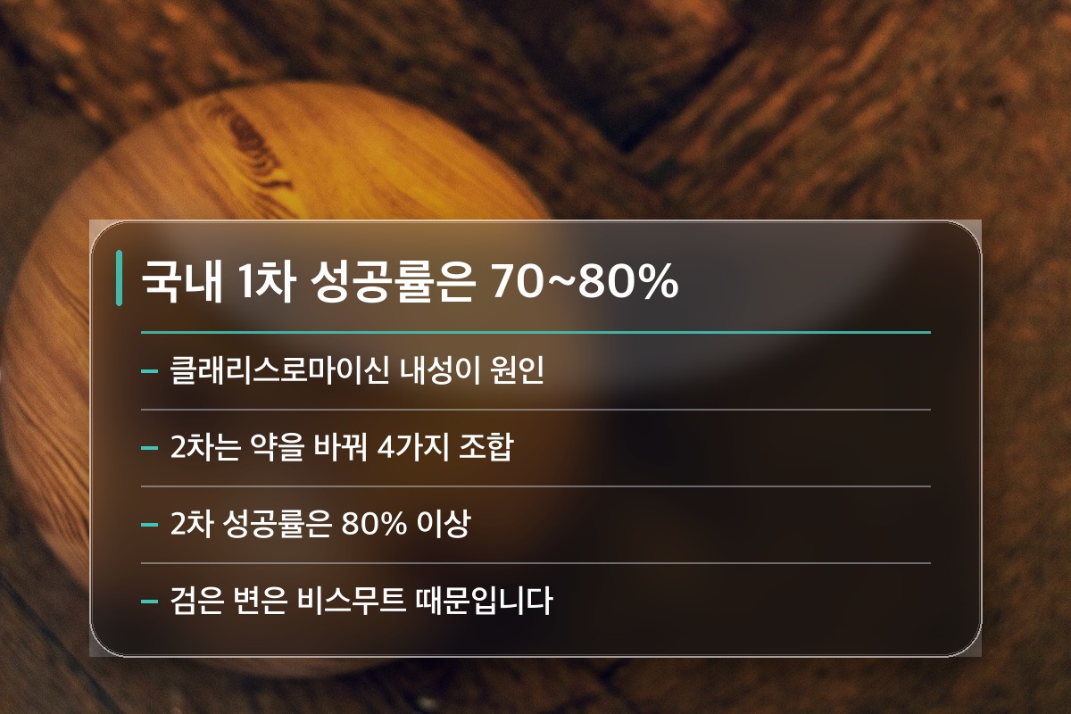 헬리코박터 제균 치료 1차에서 실패하면 어떻게 하나요?
