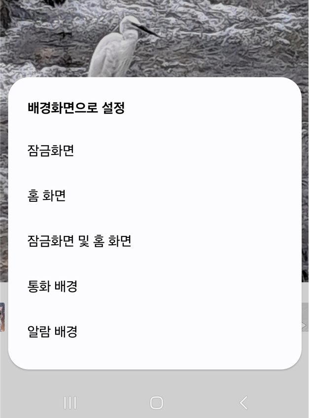 4. 적용할 화면 선택하기